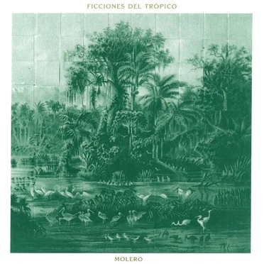 Ficciones del trópico