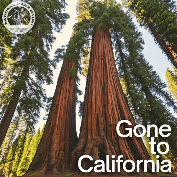 Gone to California