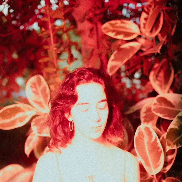 Forest (demo version)