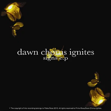 Signs by Dawn Chorus Ignites - album cover