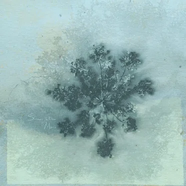 Mono by Simeon Walker - album cover