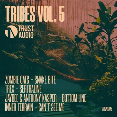 Tribes, Vol. 5 by Various Artists - album cover