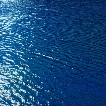 Turn Into Blue