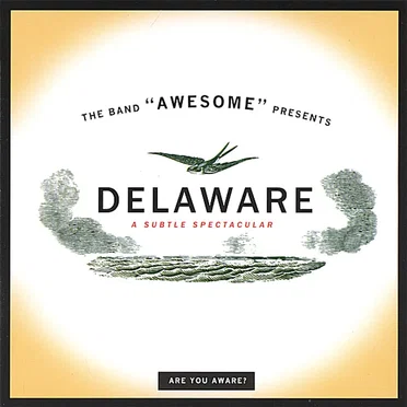 Delaware: A Subtle Spectacular by Awesome - album cover