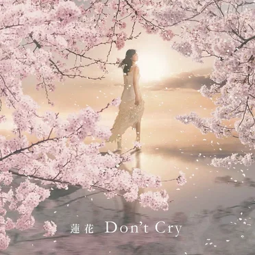 Don't Cry by 蓮花 - album cover
