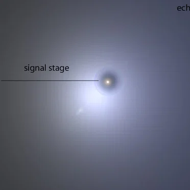 Signal Stage