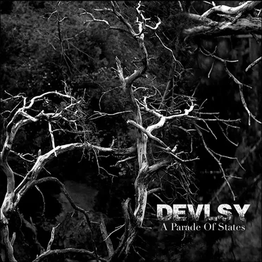 A Parade of States by Devlsy - album cover