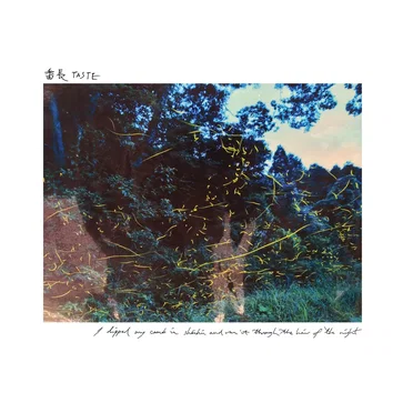 I dipped my comb in shochu and ran it through the hair of the night by 番⻑ TASTE - album cover