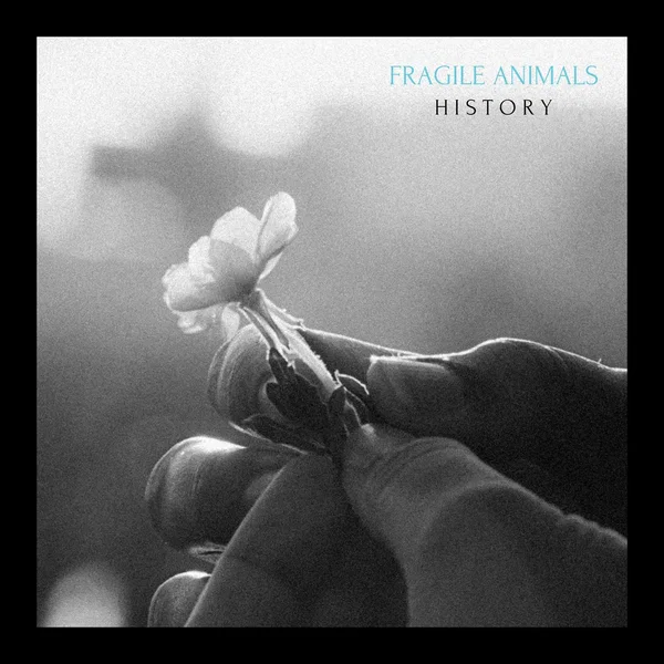 History