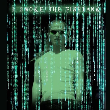Bwoke the Fish Tank by Tai Nguyen - album cover