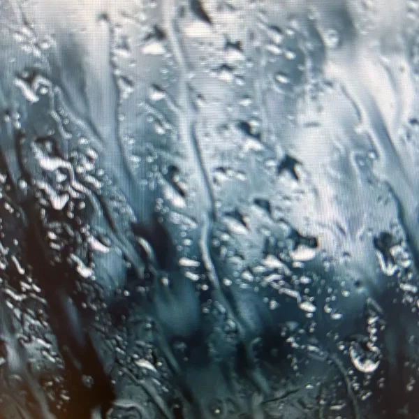 Precipitation/Gust