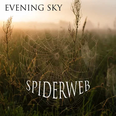 Spiderweb