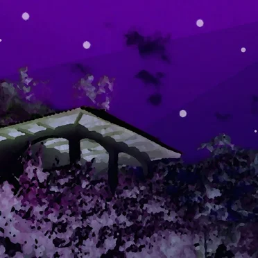 Fantasía bajo las estrellas