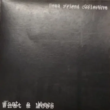 What A Mess! by Dead Friend Collective - album cover