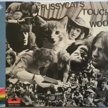 Touch Wood by The Pussycats - album cover