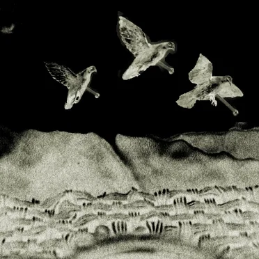 Dissolve