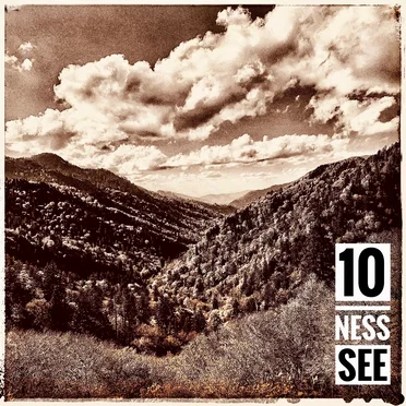 10 NESS SEE