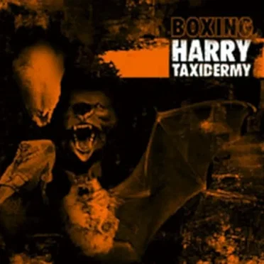 Taxidermy: Boxing Harry