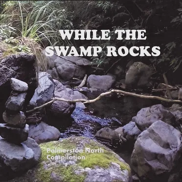 While the Swamp Rocks: Palmerston North Compilation by Various Artists - album cover