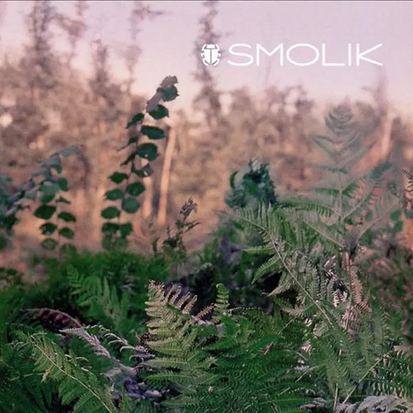 Smolik 2