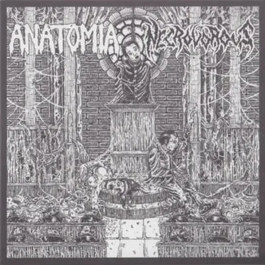 Anatomia / Necrovorous