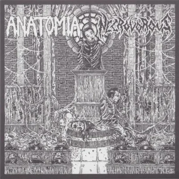 Anatomia / Necrovorous
