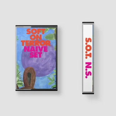 Soft on Terror