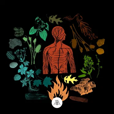 Bear Creek by Camp of Wolves - album cover