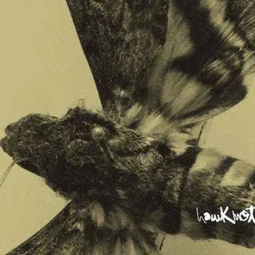 Hawkmoth by Hawkmoth - album cover