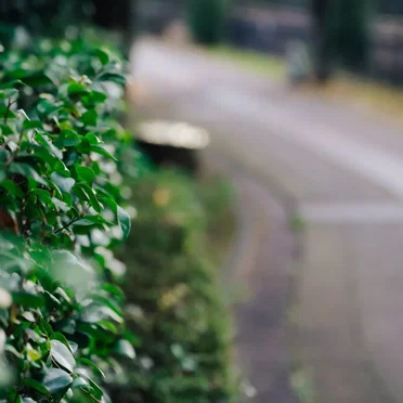 雨のマジック