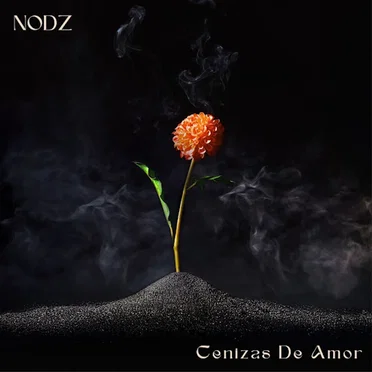 Nodz