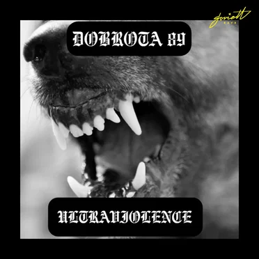 Dobrota 89