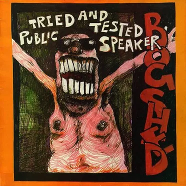 Tried and Tested Public Speaker