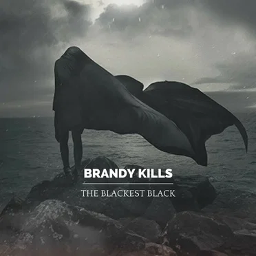 The Blackest Black by Brandy Kills - album cover