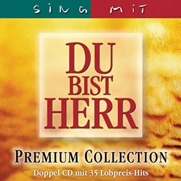Du bist Herr Sing mit by Various Artists - album cover