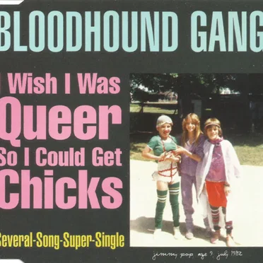 I Wish I Was Queer So I Could Get Chicks