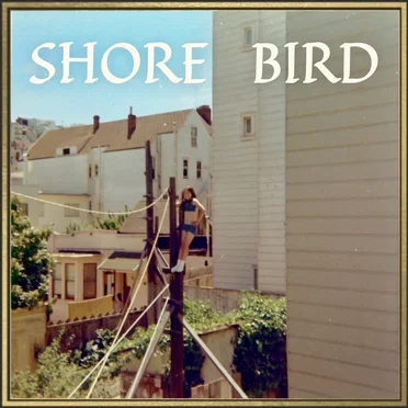 Shore Bird by Slow Motion Cowboys - album cover