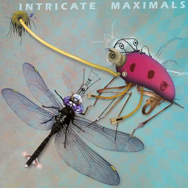 Intricate Maximals by Various Artists - album cover