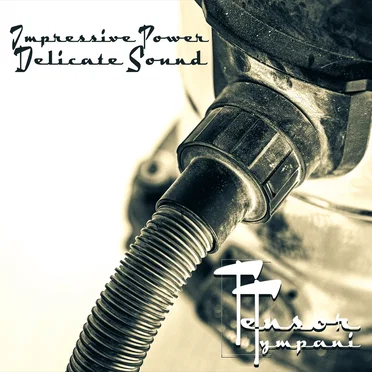 Impressive Power Delicate Sound