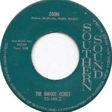 Italian Twist / Zoom by The Unique Echos - album cover