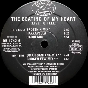The Beating of My Heart (live to Tell)