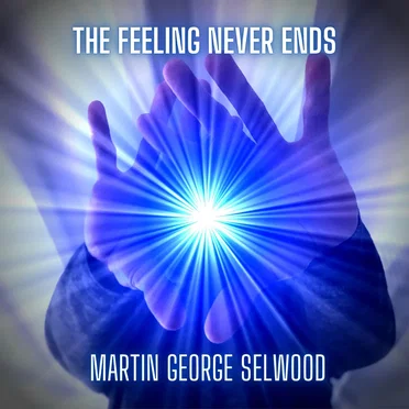 The Feeling Never Ends by Martin George Selwood - album cover