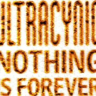 Nothing Is Forever