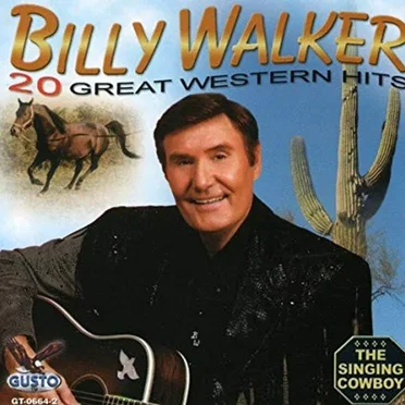 20 Great Western Hits