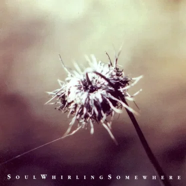 Everyone Will Eventually Leave You by Soul Whirling Somewhere - album cover