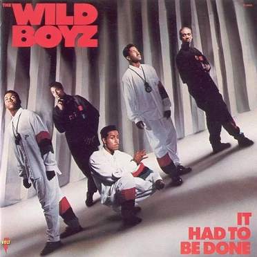It Had to Be Done by The Wild Boyz - album cover