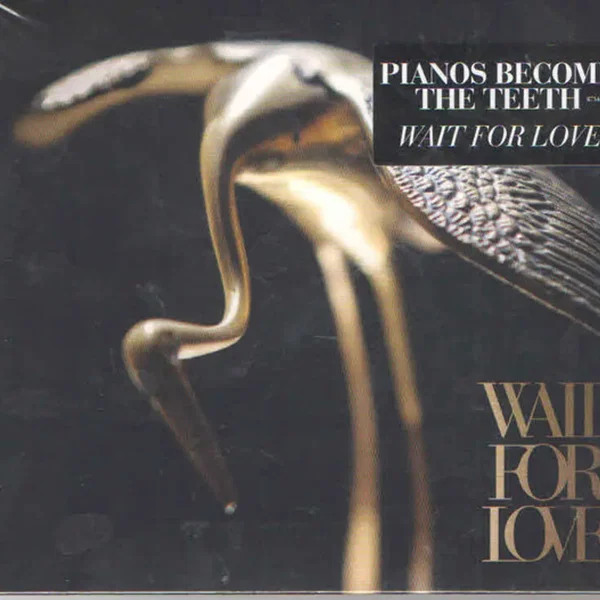 Wait for Love