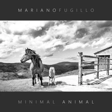 Minimal animal