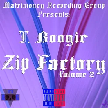 Zip Factory: Volume 2 by T Boogie - album cover