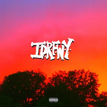 IDRFWY by Ricky - album cover